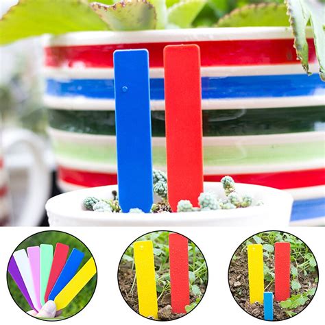 Toradh íomhá ar Vinyl Tree Tag Labels