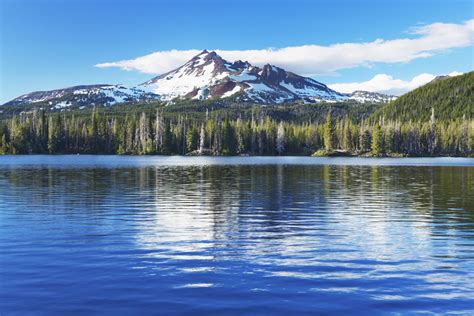 Toradh íomhá ar Forest Buck Ground Game