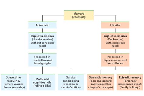 Image result for General Memory Processing Model