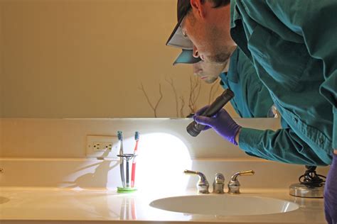 Image result for Bee and Wasp Control