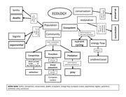 Ecosystem Concept Map Answer Key に対する画像結果