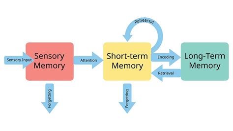 Image result for The Memory Process