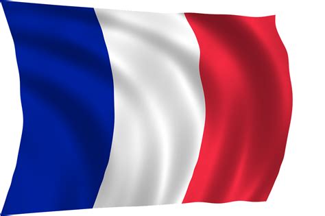 Image result for Programme Python Drapeau Français