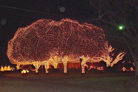 Image result for How Do I Light Up an Outside Wall Tree