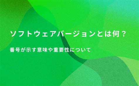 Software Version に対する画像結果