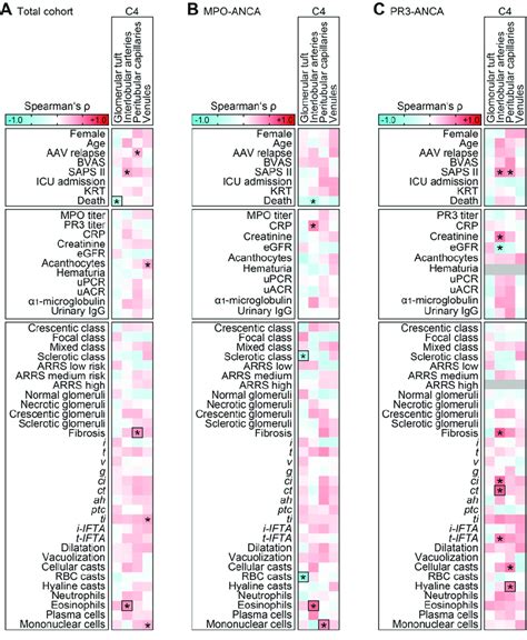Image result for Elevated Complement C4