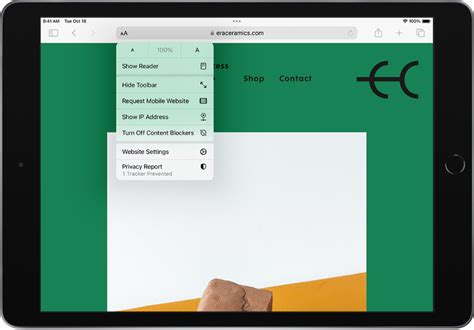 Image result for Safari Settings On iPad