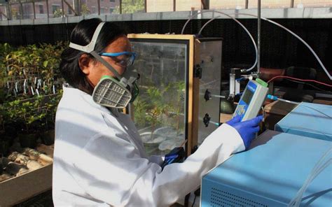 Top Environmental Science Graduate Programs に対する画像結果