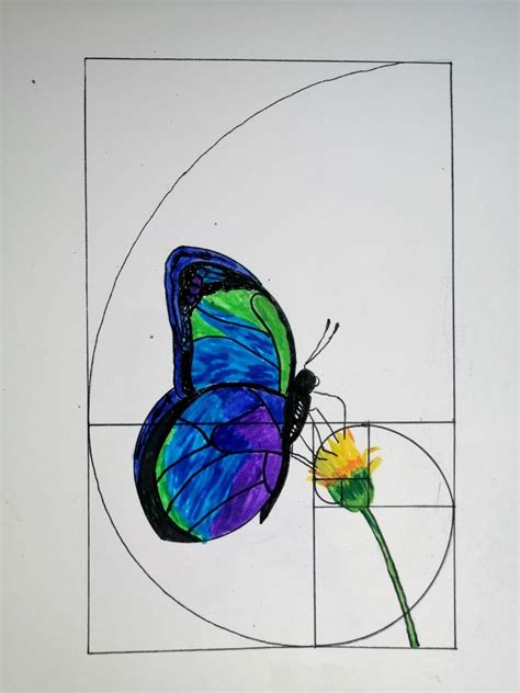 Square Root Spiral Patterns に対する画像結果