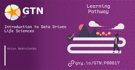 Image result for Data Learning Pathways