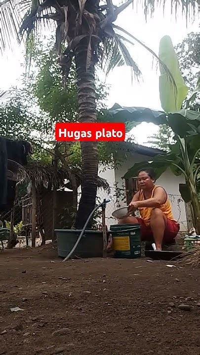 Afbeeldingsresultaten voor Hugas Plato Meme