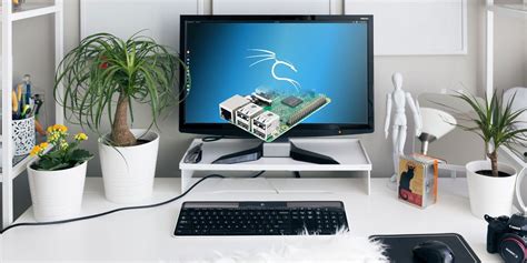 Afbeeldingsresultaten voor Raspberry Pi Hacking