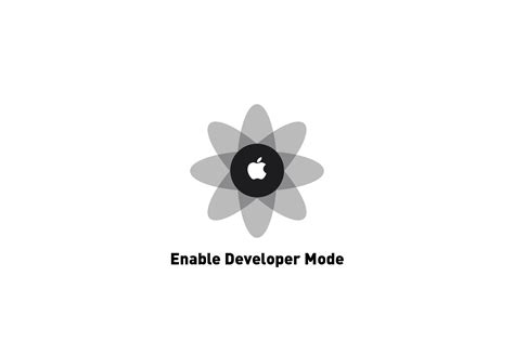 Image result for Developer Mode Icon
