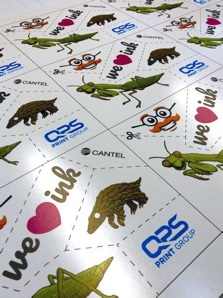 Image result for How to Print Waterslide Decals