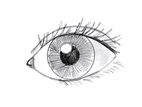 Image result for Eye Image Draw Computer