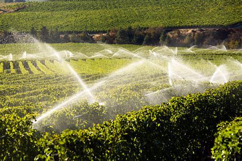 Image result for Edge Impulse Vineyard Irrigation