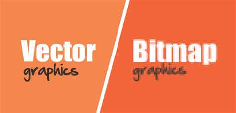 Image result for Bitmap and Vector in Digital Graphics