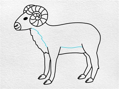 How to Draw a Ram - HelloArtsy