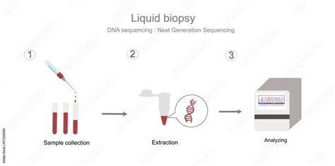 Image result for DNA Isolation to Sequencing Workflow