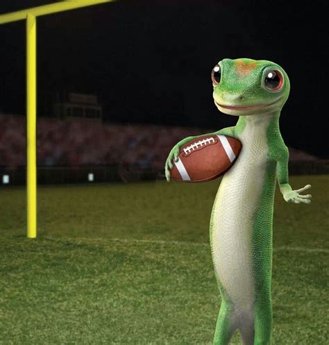 Image result for GEICO Gecko Football