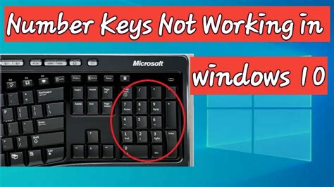 Image result for Number Keys Not Working Windows 1.0