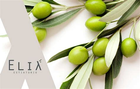 Image result for Elia Cursive Signature