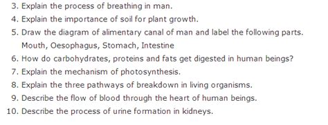 Class 10 Life Processes Diagram Based Question に対する画像結果
