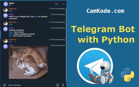 Image result for Quiz Bot Telegram Python