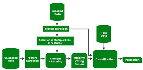 Image result for Semi Supervised Learning PDF