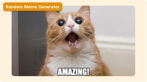 Afbeeldingsresultaten voor Random Meme Formats