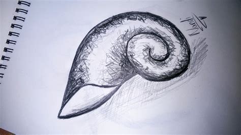 Image result for Small Shell Drawing