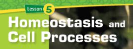 Image result for Cell Processes 7th