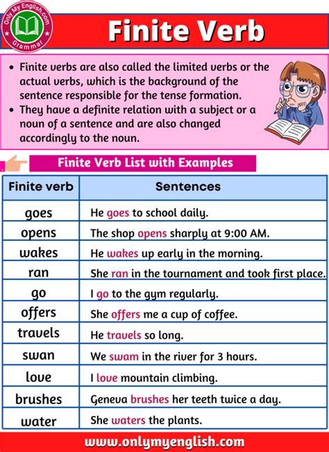 Image result for Finite Verb Examples