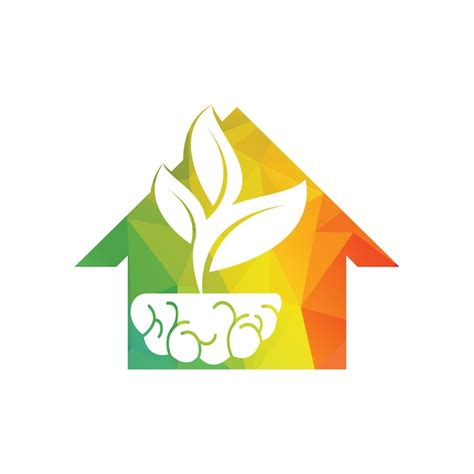 Toradh íomhá ar Brain Tree of a Function in Coding