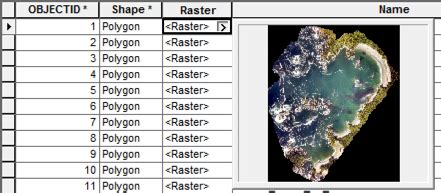 Raster Feature Class に対する画像結果