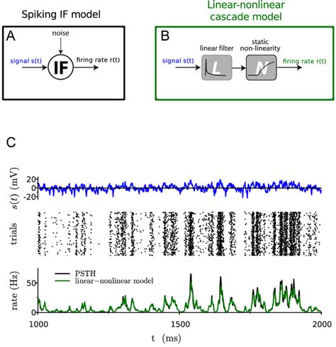 Image result for Linear/Nonlinear Neuron Model