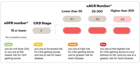 Image result for CKD 5D