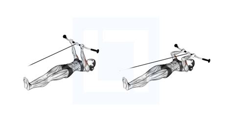 Band Concentration Curl - Guide, Benefits, and Form