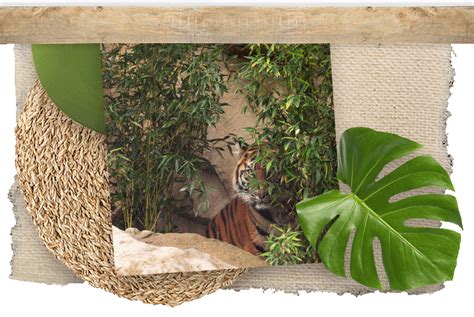 Image result for Continuous Sampling Zoo Monitor