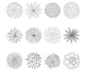 Image result for TreePlan Abstract