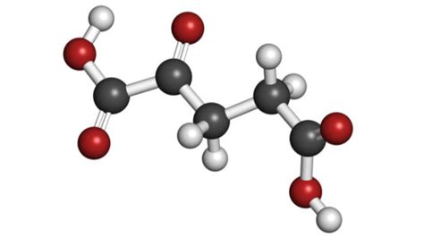 Image result for Alpha-Ketoglutarate Molecule