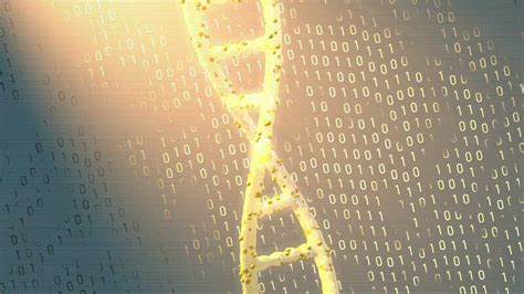 Image result for Genetic Algorithm Visualized