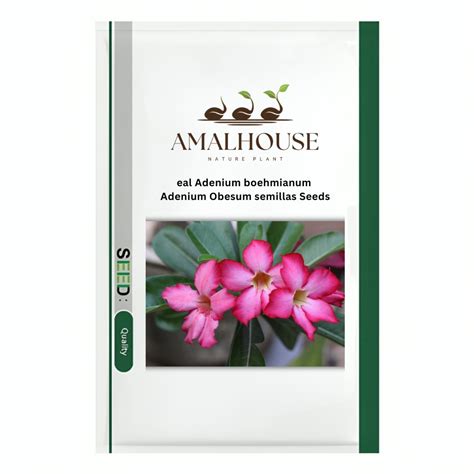 eal Adenium boehmianum Adenium Obesum semillas - 20 PCS Seeds