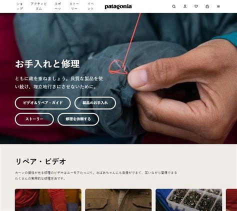 Circular Life Pattern に対する画像結果