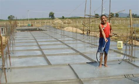 Column Curing に対する画像結果