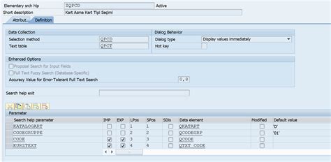 Image result for Search String in SAP