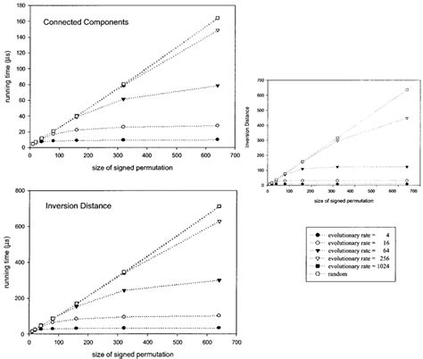 Rumus Sample Linear Time Function に対する画像結果