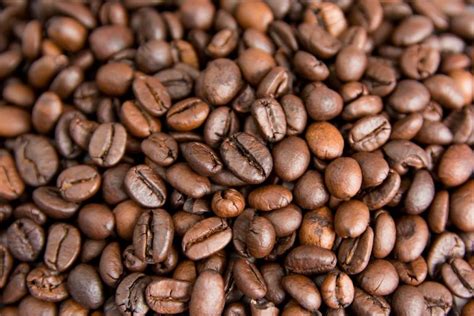 Image result for Java Coffee Beans
