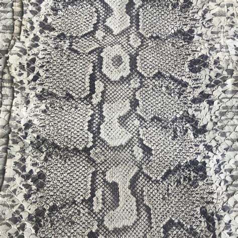 Image result for Leather Python Visual