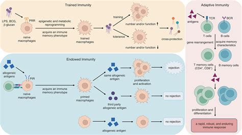Memory Cell എന്നതിനുള്ള ഇമേജ് ഫലം